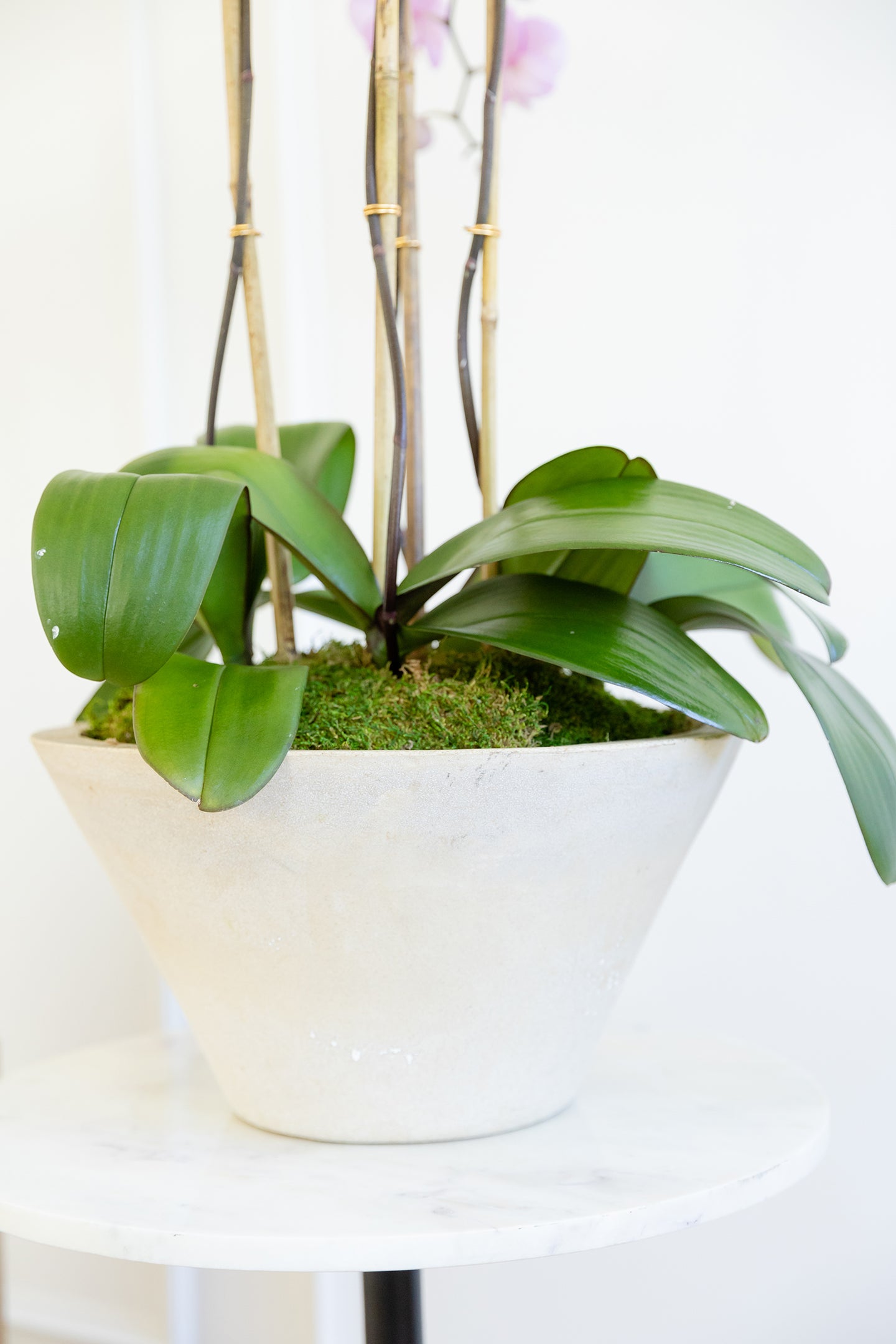 Concrete urban creation